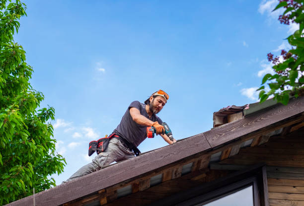 Roof Insulation in Brocton, NY